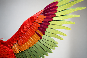 Perroquet Macaw