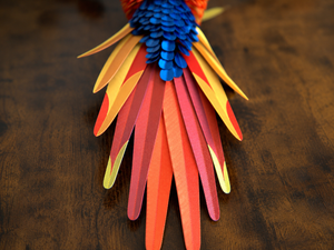 Perroquet Macaw